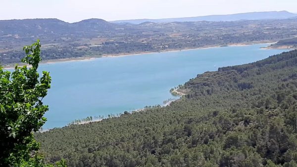 VIDEOCURSO BOTICA ECO DE CALÉNDULA "EXTRACTO DE CALÉNDULA" - Imagen 3