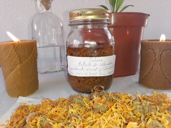 VIDEOCURSO BOTICA ECO DE CALÉNDULA "EXTRACTO DE CALÉNDULA" - Imagen 2