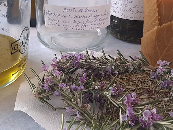 VIDEOCURSO COSMÉTICA ECO  ROMERO "ACEITE DE ROMERO"