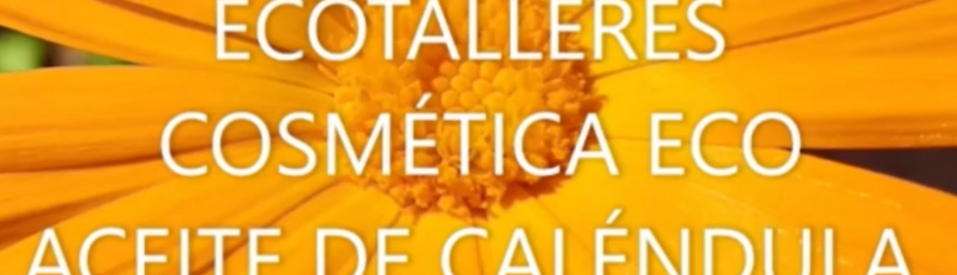 ecotalleres